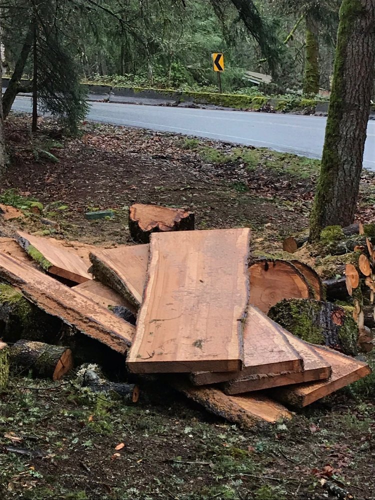 Pacific Rim Tree Service