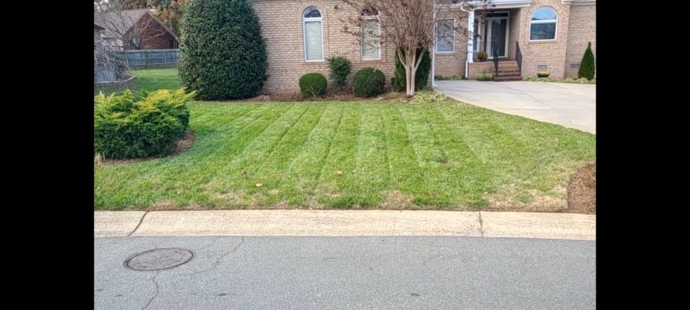 Apple Tree Lawn Care & Landscaping