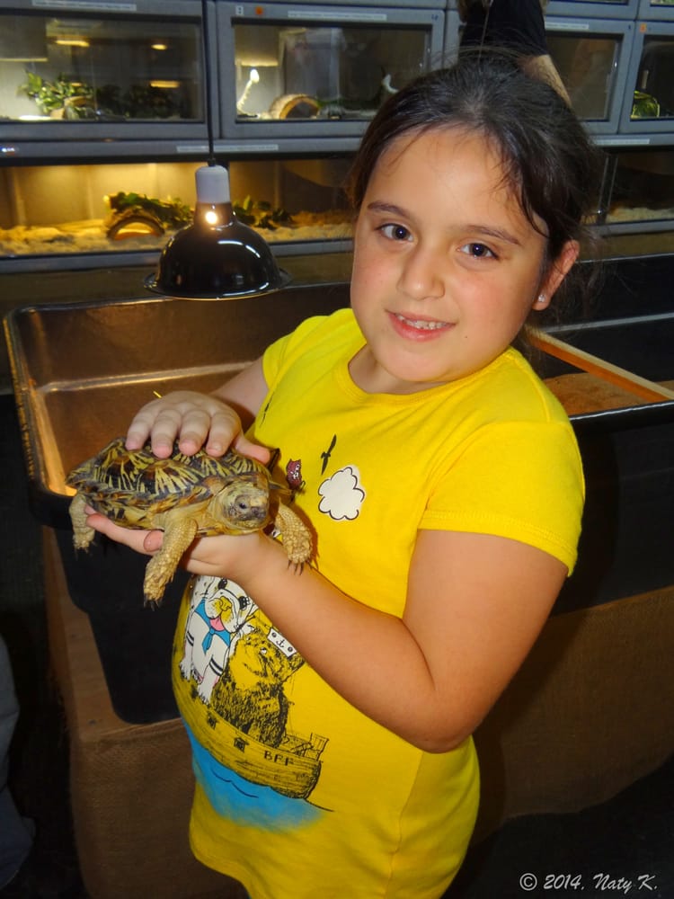Turtle Sanctuary Near Palm Beach Turtle Sanctuary Near Palm Beach