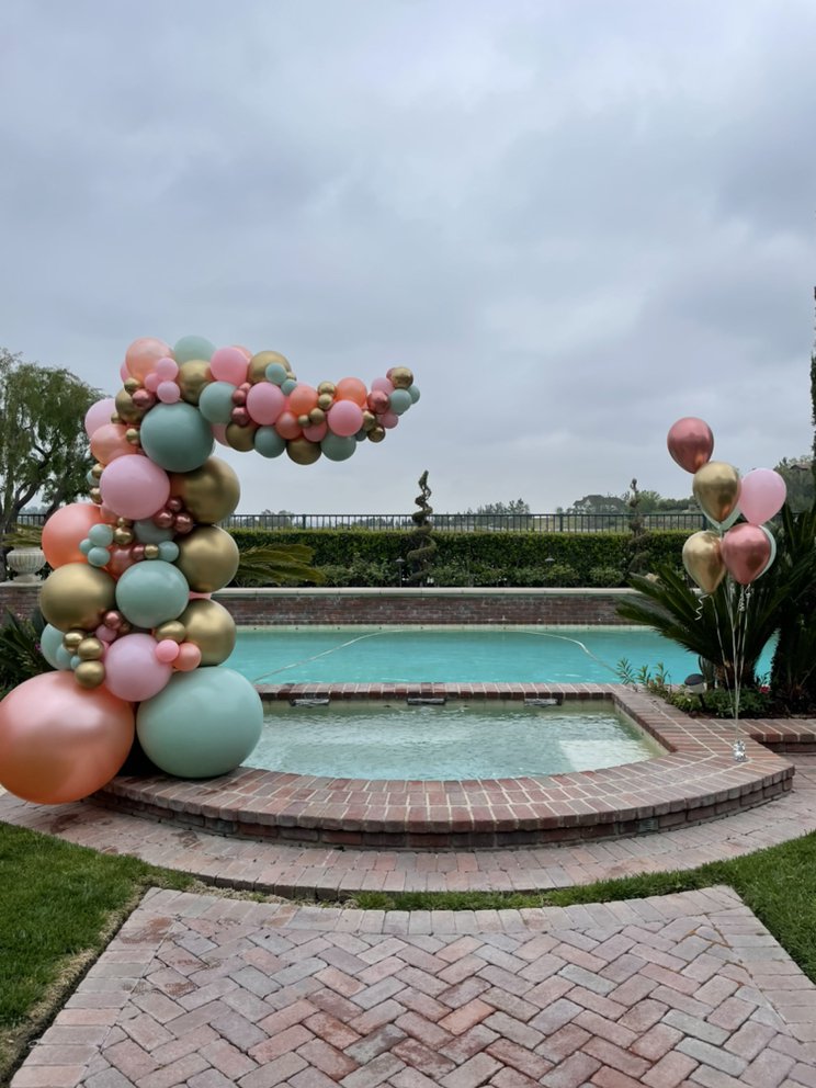 The Balloonist
