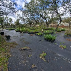 Biosphere Nursery 14 Photos Nurseries Gardening 14908 Tilden Photo Of Biosphere Nursery Winter Garden Fl United States