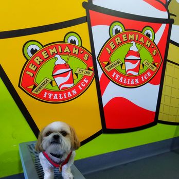 Jeremiah's italian ice coupons