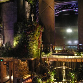 Uber Toronto Phone Number >> Cloudland - 70 Photos & 22 Reviews - Bars - 641 Ann St ... Uber Toronto Phone Number >> Cloudland - 70 Photos & 22 Reviews - Bars - 641 Ann St ...