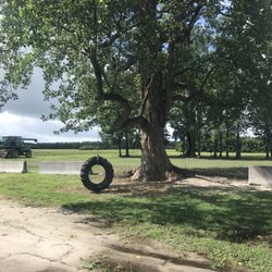 Greenbrier Farms 40 Photos Nurseries Gardening 225 Sign Pine Photo Of Greenbrier Farms Chesapeake Va United States Tire Swings Were A