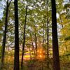 Newaygo State Park gift card