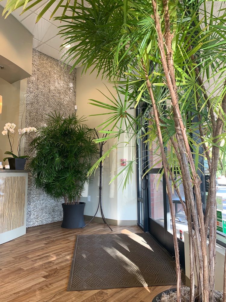 image of business East Sac Dental