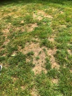 TruGreen Lawn Care