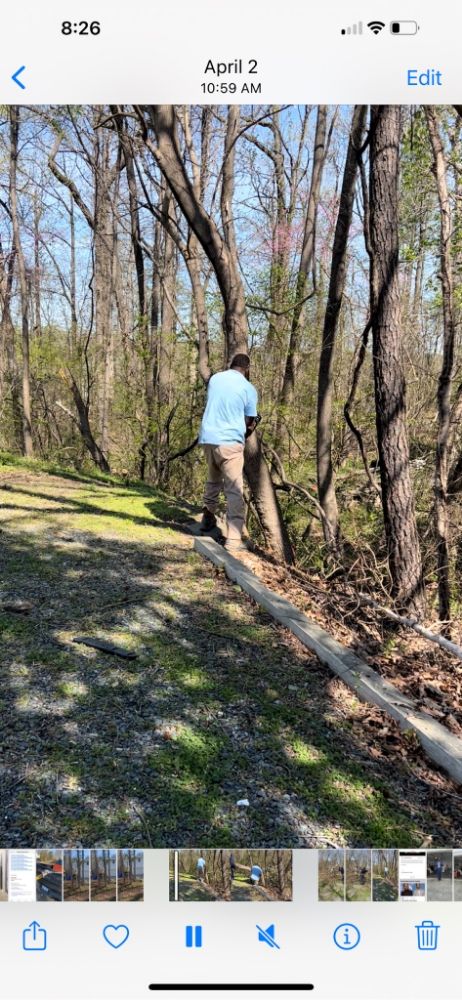 Grizzly Tree Removal  Service