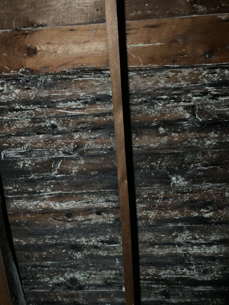 image of business Clear Choice Home Improvements
