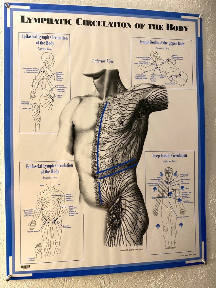 Flow Massage and Wellness