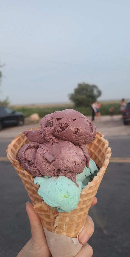 Aunt Carrie's Ice Cream
