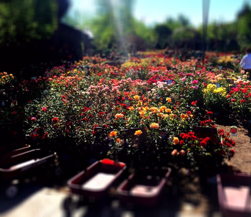 The Gardens 11 Photos & 16 Reviews Nurseries & Gardening 9542 S