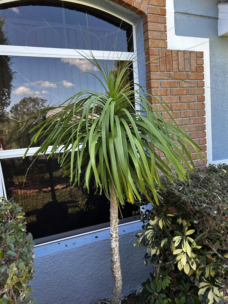 Cut2Clean LLC