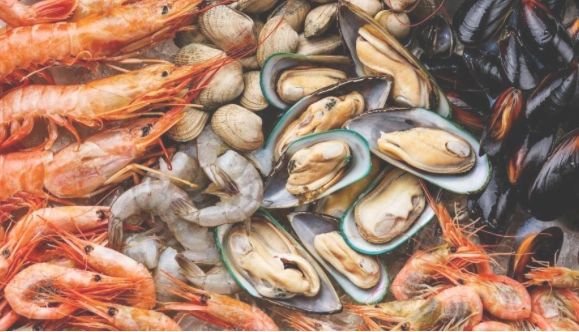 Seafood Wonders