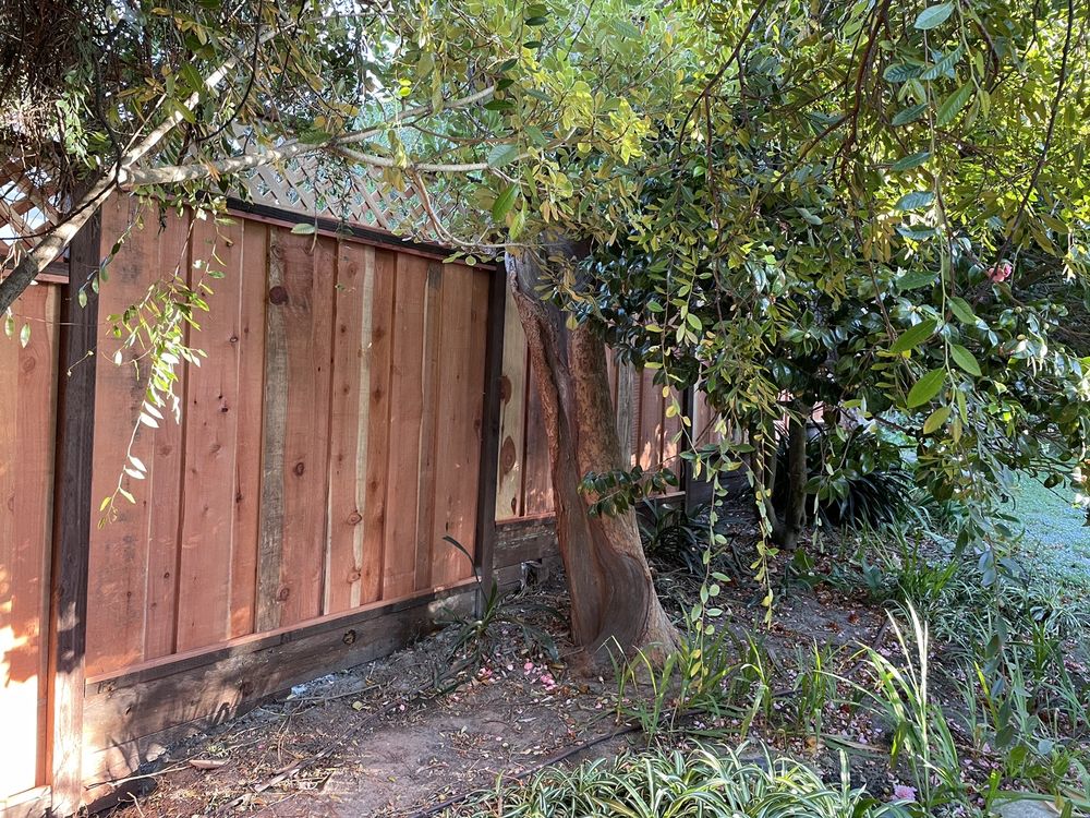Rescino Fence