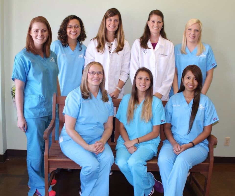 Sully Animal Hospital