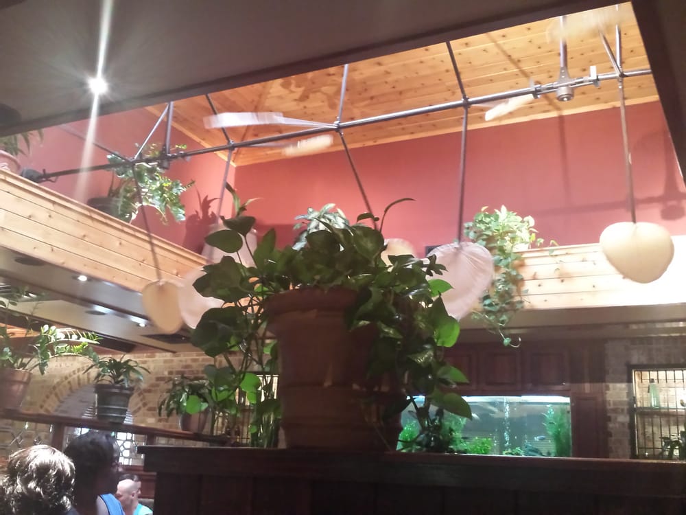 Oversized Ceiling Fan Next To The Giant Fish Tank Yelp Photo Of Cheddar S Scratch Kitchen Augusta Ga United States Oversized Ceiling Fan