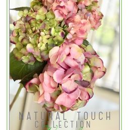 Winward International Get Quote 12 Photos Florists 42760 Photo Of Winward International Fremont Ca United States