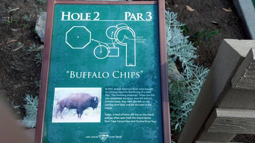 Golf Gardens 83 Photos & 126 Reviews Mini Golf 10 Island Plz