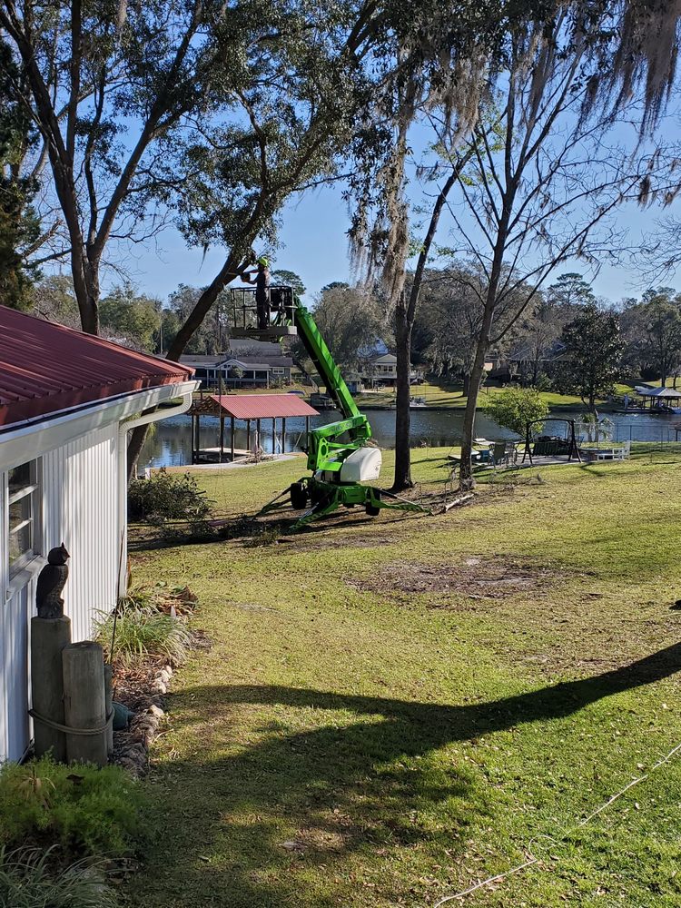 Southern Tree Experts