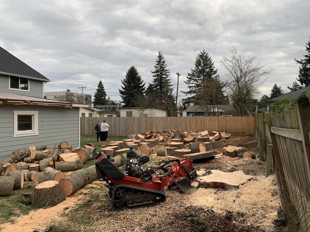 Pacific Coast Tree Experts