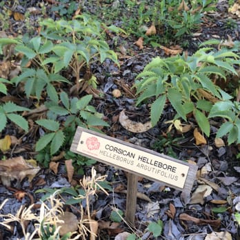 Coupon santa rosa gardens
