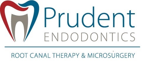 image of business Prudent Endo
