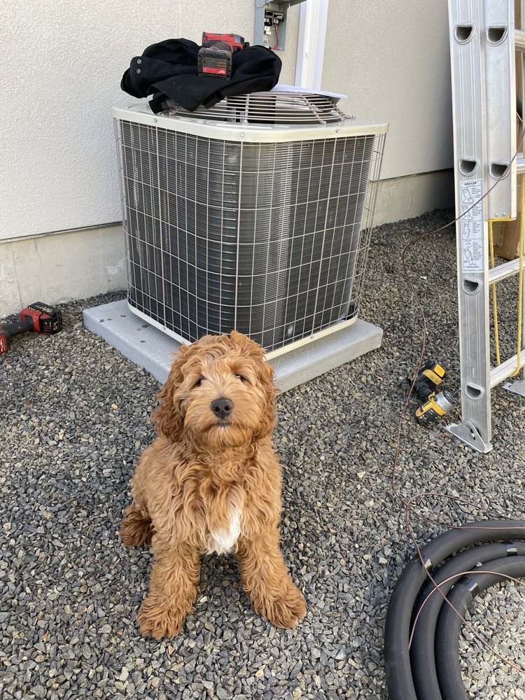 image of business Anderson Heating and Air