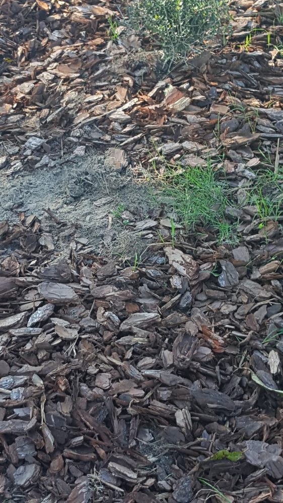 Lawn & Beyond Landscape Solutions