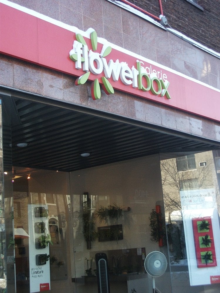 Galerie Flowerbox