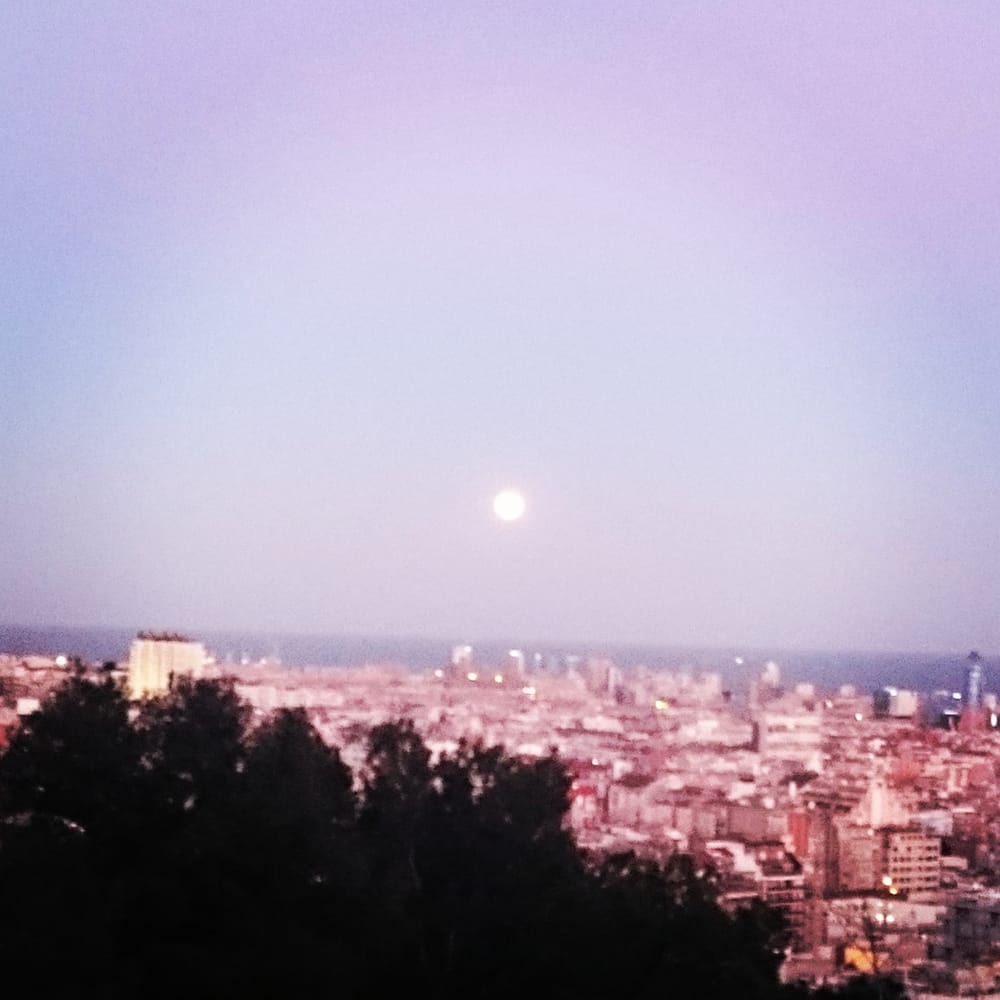 Jardins del Turó del Putget