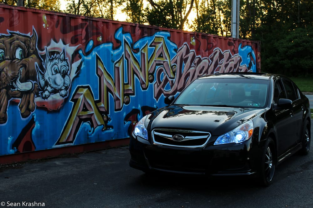 Anna Shelter Animal Shelters 1555 E 10th St, Erie, PA Phone