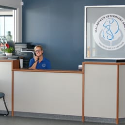 Photo of Gregory Hills - Macarthur Vet Group - Gregory Hills New South Wales, Australia. Reception