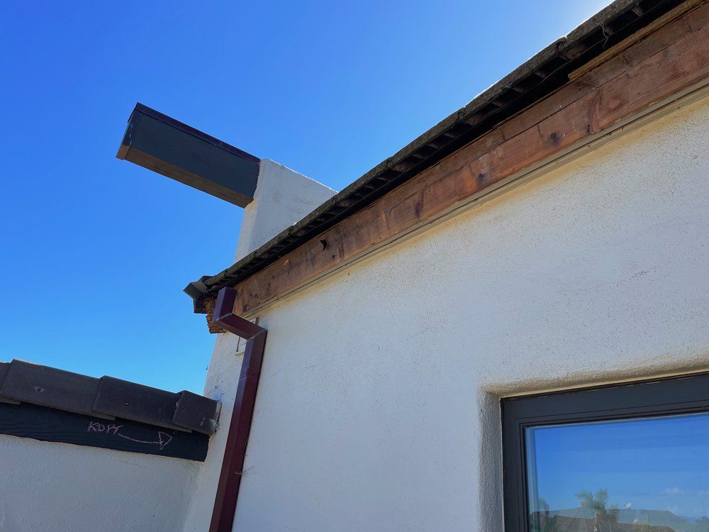 ADA Termite and Pest Control