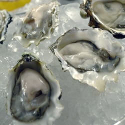 Cutters Crabhouse photo