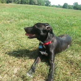 Stoll Off Leash Dog Park Overland Park Ks Stoll Off Leash Dog Park Overland Park Ks