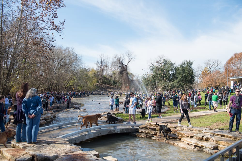 Johnny Steele Dog Park 137 Photos & 95 Reviews Dog Parks 2929 Allen Pkwy, Houston, TX