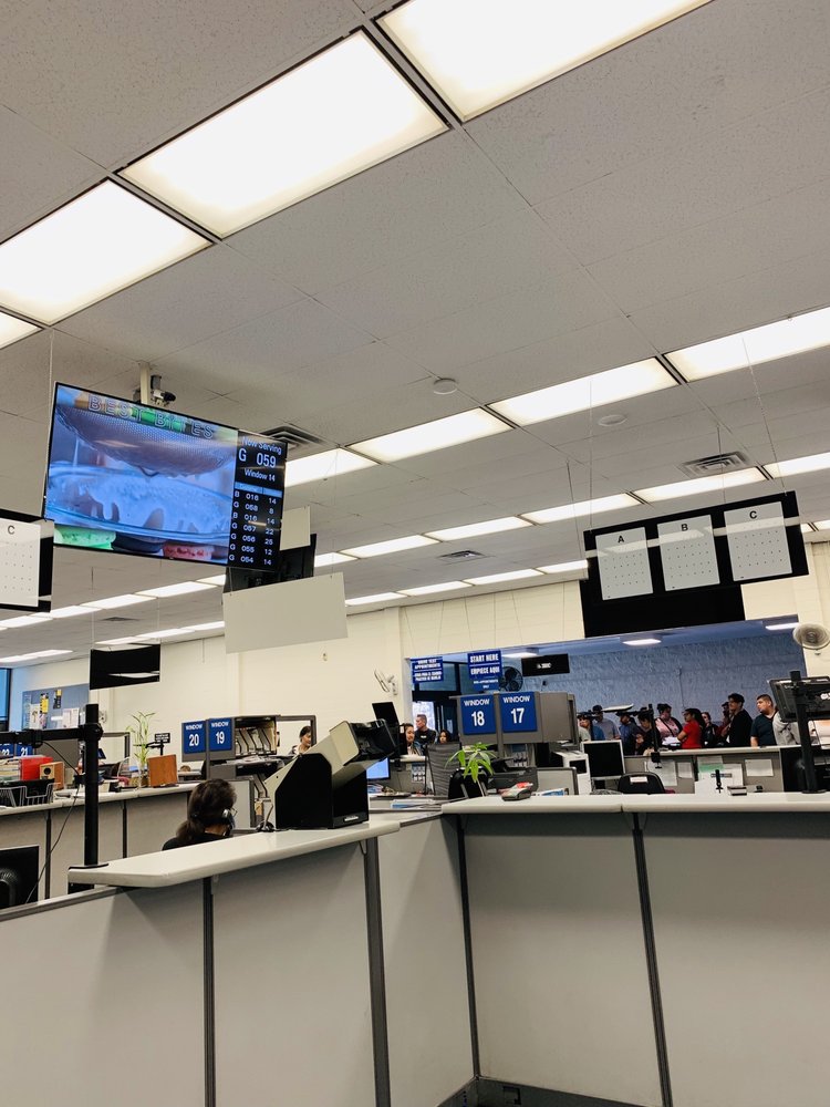 Dmv 33 Photos 118 Reviews Departments Of Motor Vehicles 6801 Dmv 33 Photos 118 Reviews Departments Of Motor Vehicles 6801 S Garfield Ave Bell Gardens Ca Phone Number Yelp