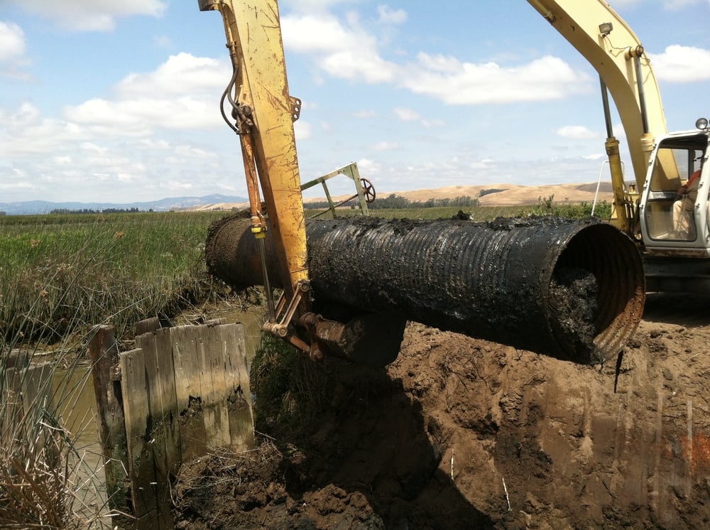 image of business Wetland Construction