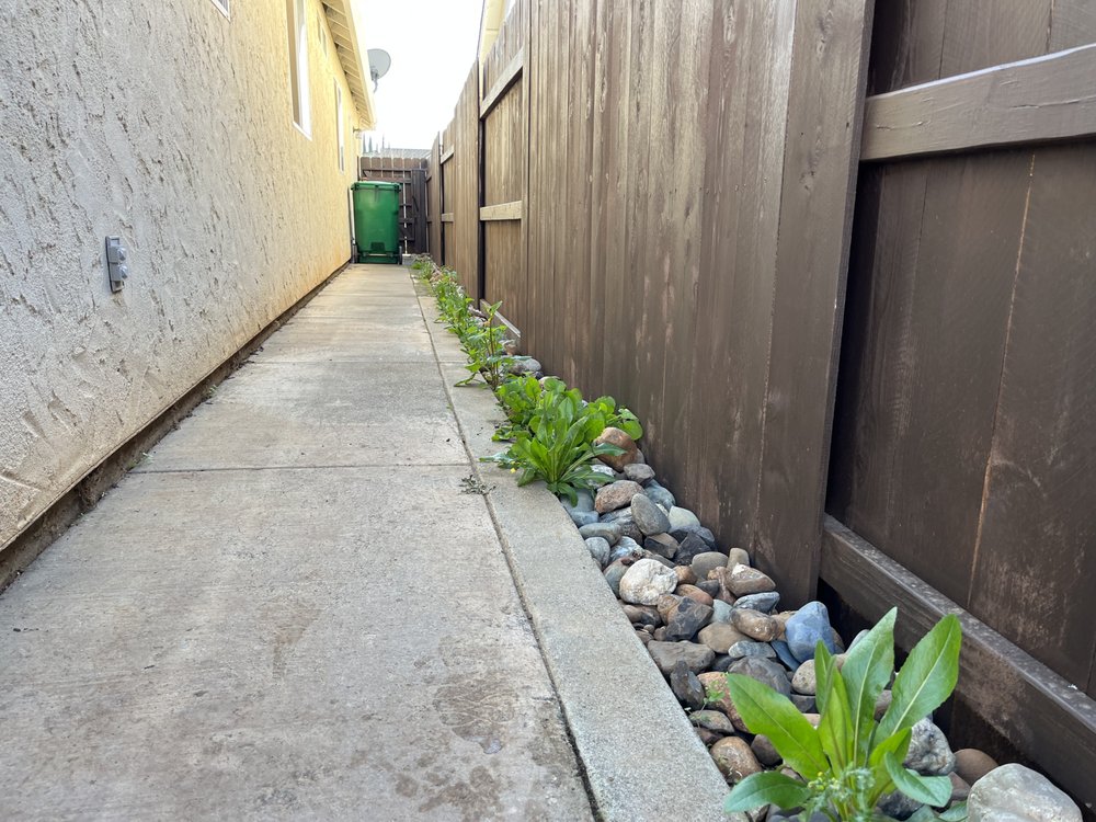 Abe's Yard Clean-Up