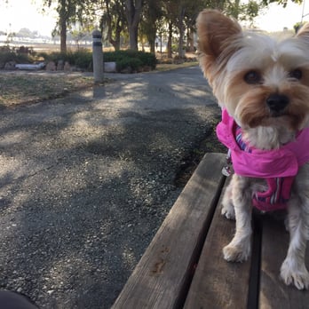Bayshore Waterfront Park Dog Friendly Bayshore Waterfront Park Dog Friendly