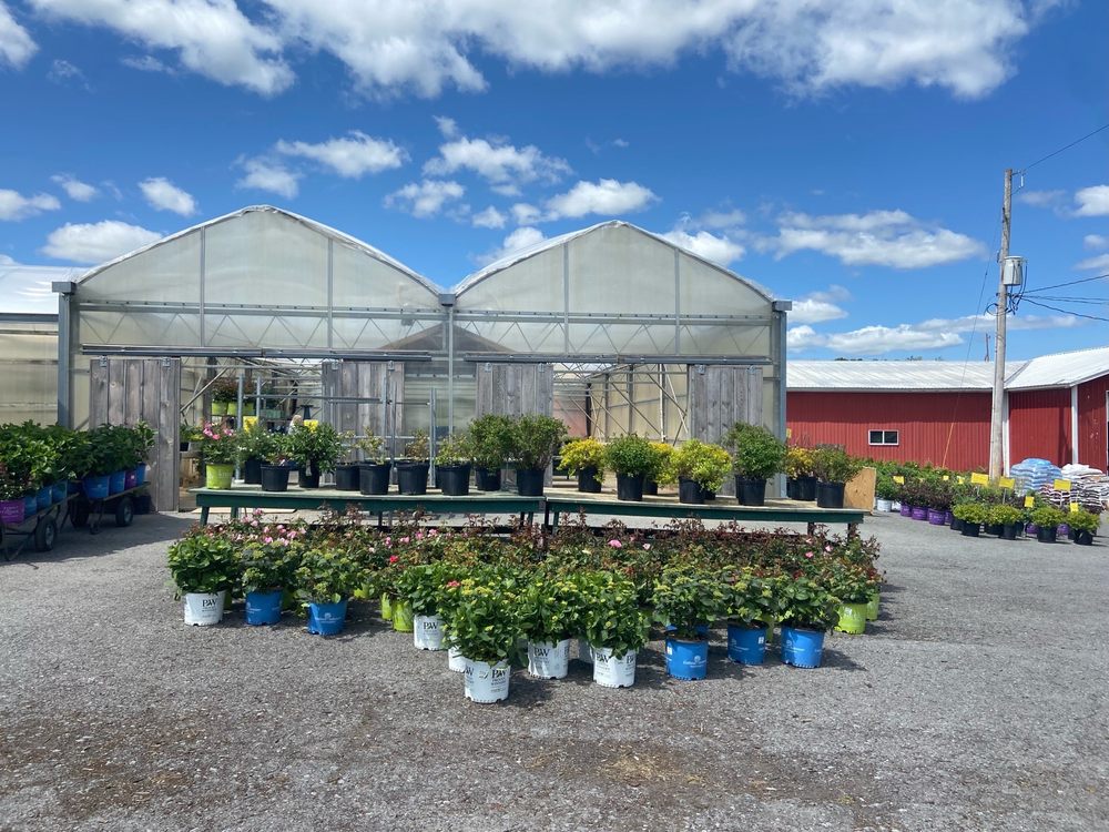 Midway Garden Center & Landscaping