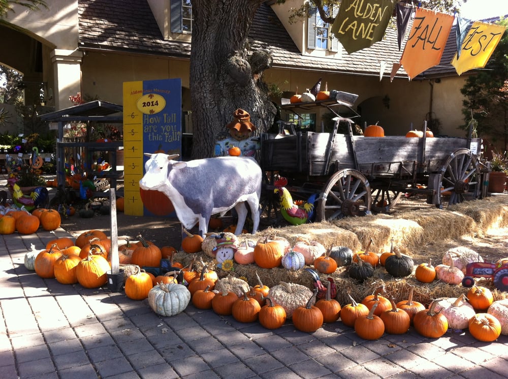 Alden Lane Nursery 89 Photos & 96 Reviews Nurseries & Gardening