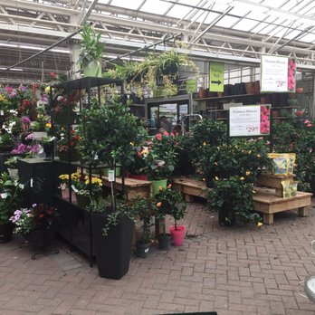 Hicks Nurseries 490 Photos 101 Reviews Gardening Photo Of Hicks Nurseries Westbury Ny United States