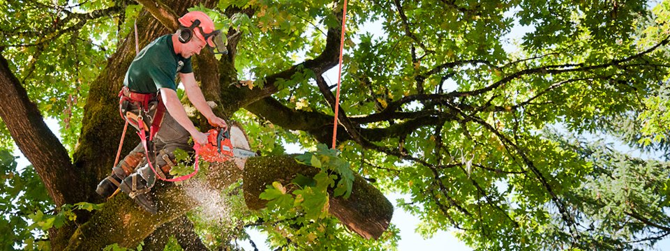 Hartin Tree Service