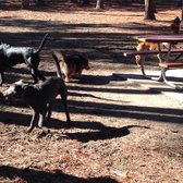 Dog Park Savannah Ga Daffin Dog Park Savannah Ga Daffin