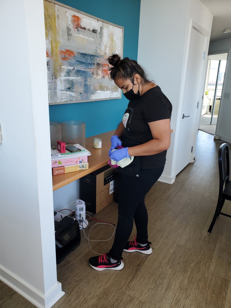 Zelaya Cleaning Services