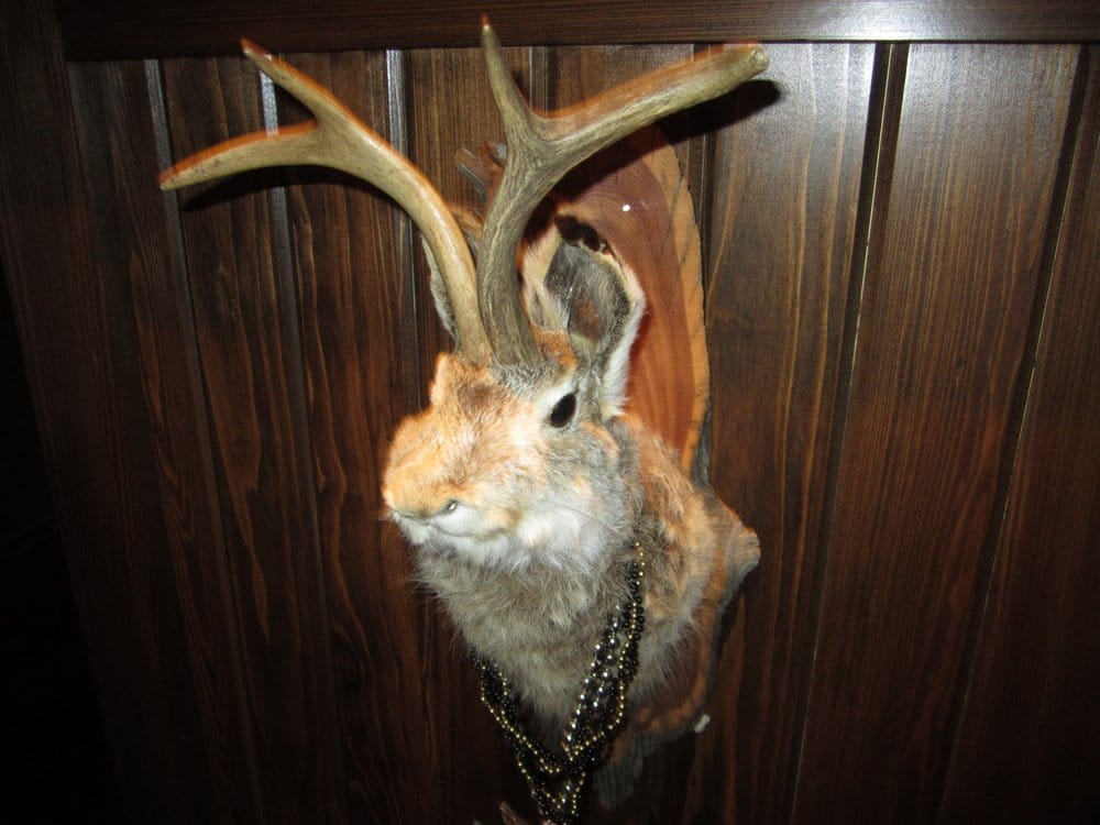 A Rabbit With Antlers Yelp