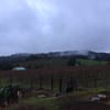 Crumbled Rock Winery winery