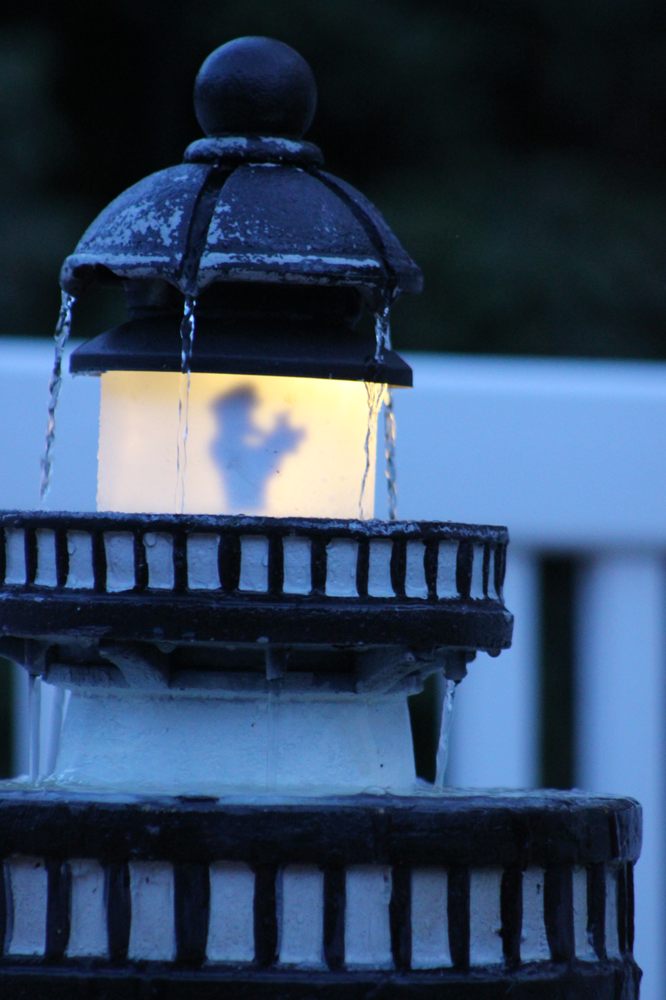 Springer Ponds and Water Gardens